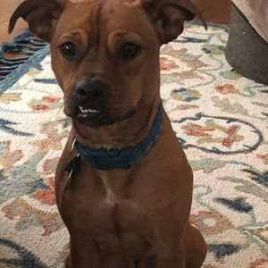 Meet your Posher, Jason